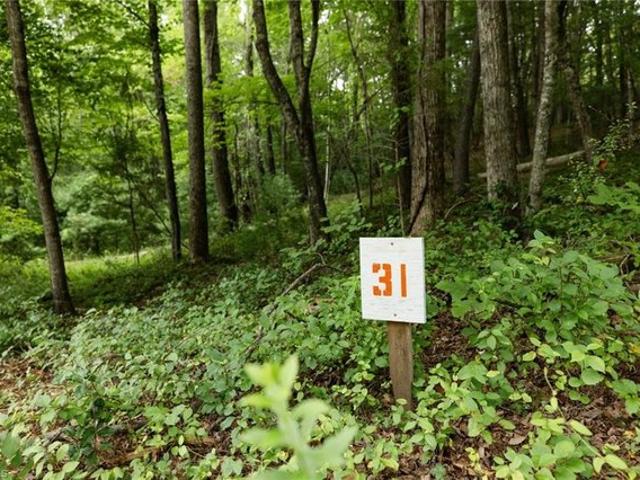 Land for sale in Lowgap, North Carolina