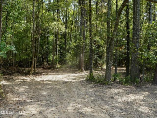 Land for sale in Brandon, Mississippi