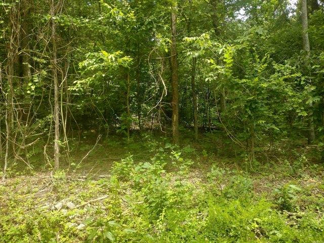 Land for sale in Ark