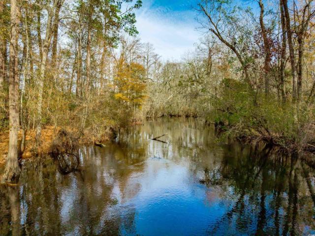 Land for sale in Dillon, South Carolina