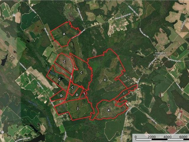 Land for sale in Dillon, South Carolina