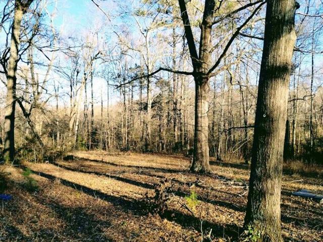Land for sale in Simpsonville Land for sale in Simpsonville