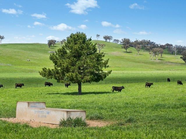 Cottage for sale in Belgravia, New South Wales