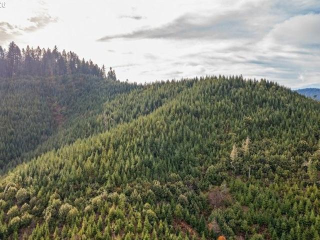 Land for sale in Oregonia