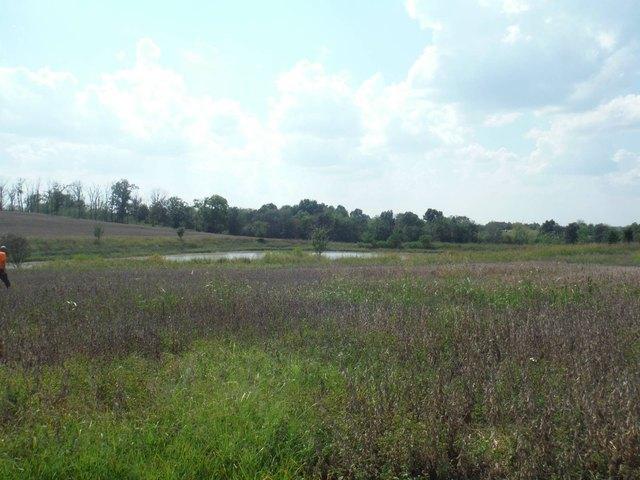 Land for sale in Springfield, Washington County