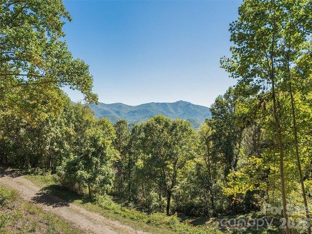 Land for sale in Clyde, Haywood County
