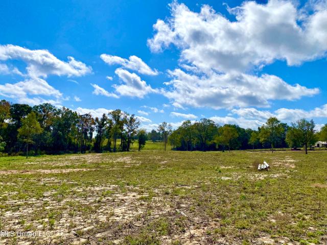 Land for sale in Carriere, Mississippi