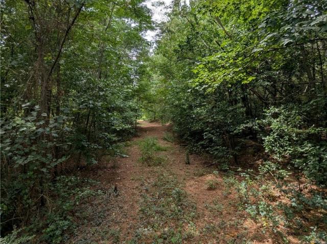 Land for sale in Lumber Bridge, North Carolina