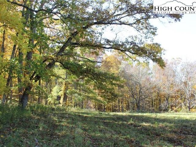 Land for sale in Lansing, North Carolina