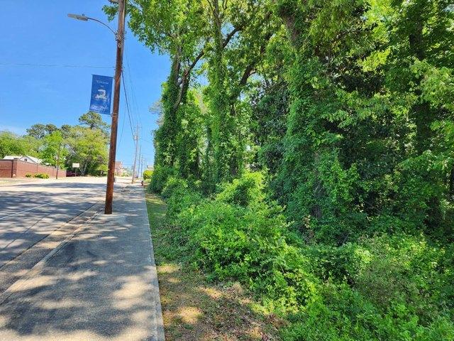 Land for sale in Carthage, North Carolina