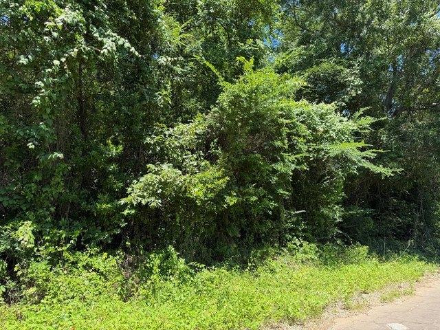 Land for sale in Palestine, Texas