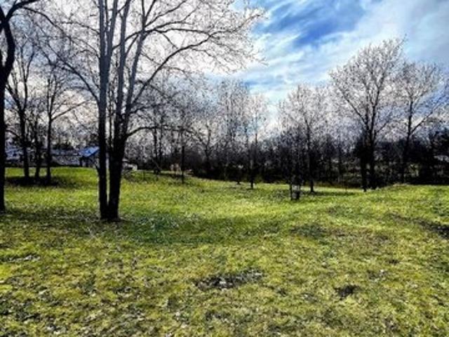 Land for sale in Stanton, Michigan
