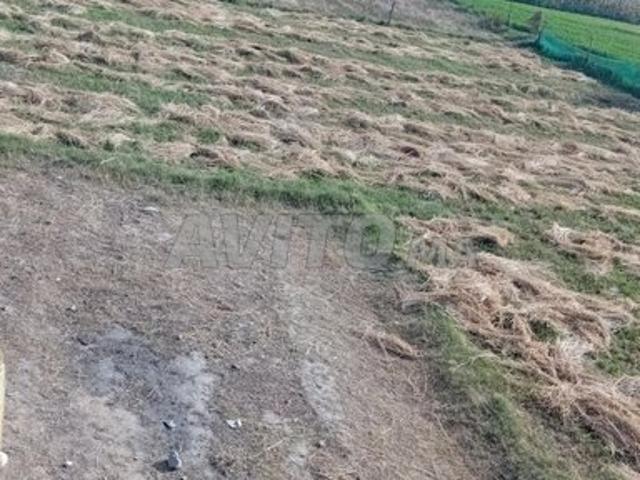 Propriété vente à El Ma, Gharb-Chrarda-Beni Hssen
