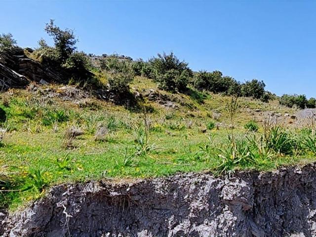 Milas, Muğla içerisinde satılık Arsa
