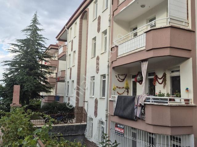 Afyon Merkez, Afyonkarahisar içerisinde kiralık mülk
