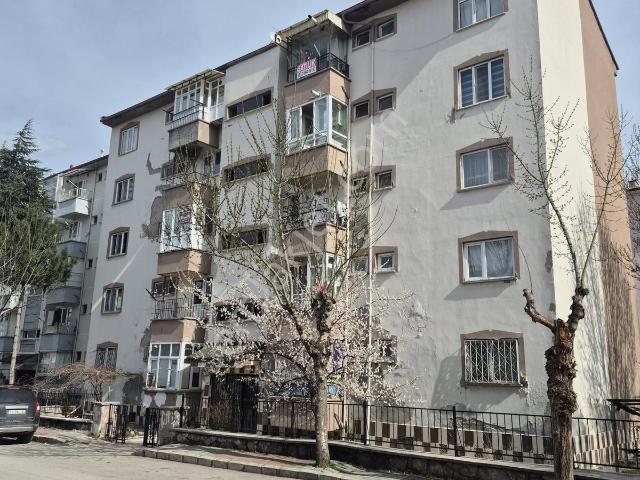 Afyon Merkez, Afyonkarahisar içerisinde kiralık mülk