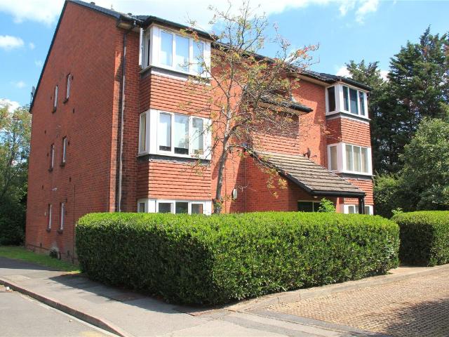 Studio for rent in Slough