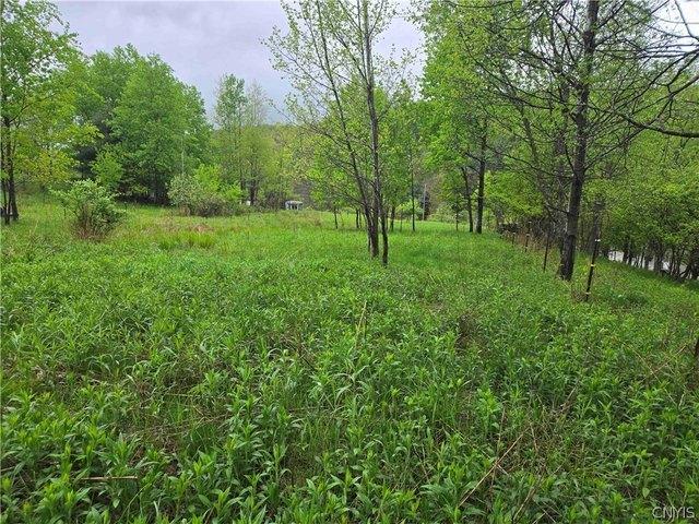 Land for sale in New York