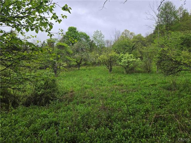 Land for sale in Bolivar, New York