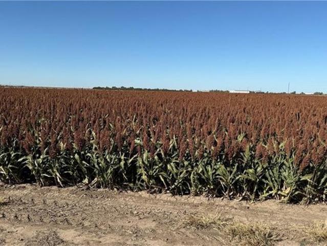 Farm for sale in Kansas