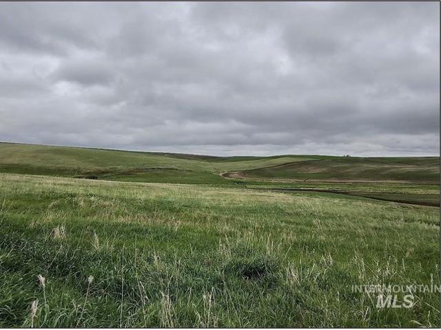Land for sale in Nezperce, Idaho