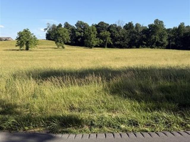 Land for sale in Adolphus, Kentucky