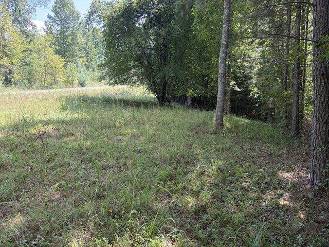 Land for sale in Young Harris, Towns County