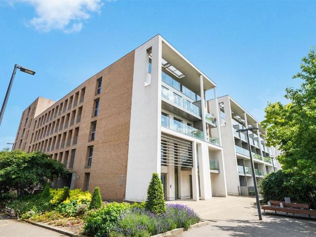 House for rent in Waterside Park, Silvertown