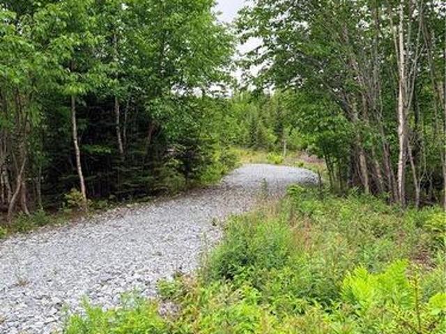Land for sale in Dipper Harbour, New Brunswick