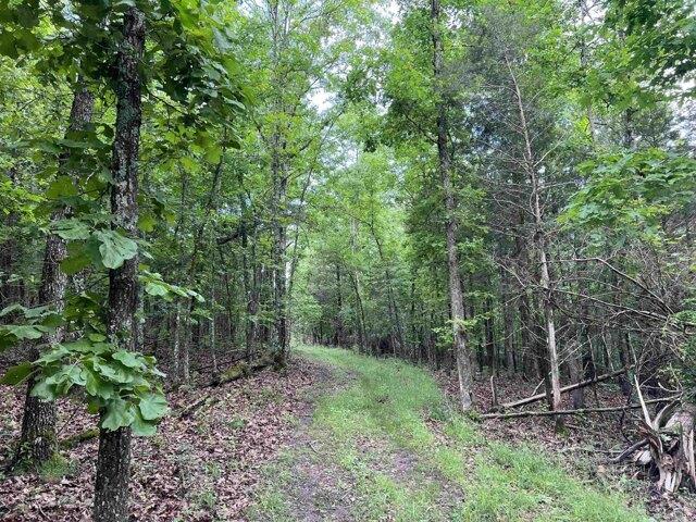 Land for sale in Harrison, Arkansas
