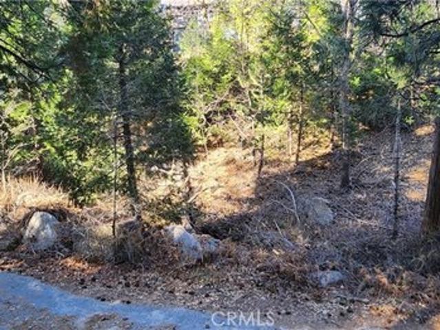 Land for sale in Cedar Glen, California