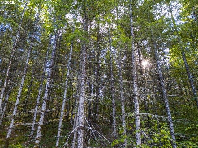 Land for sale in Oregonia