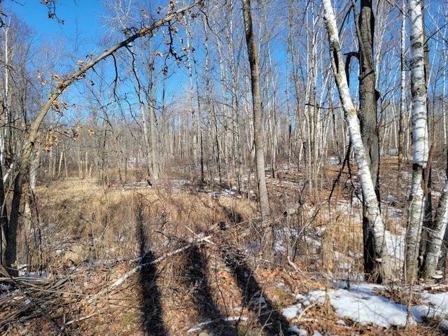 Land for sale in Morrison, Minnesota