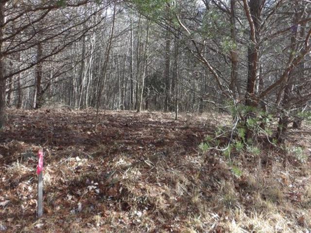 Land for sale in Tennessee