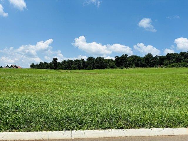Land for sale in White Pine
