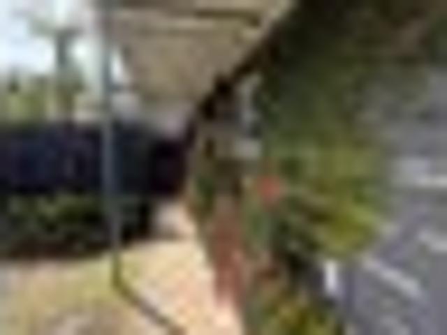 House for rent in Saint Johns, Ōrākei