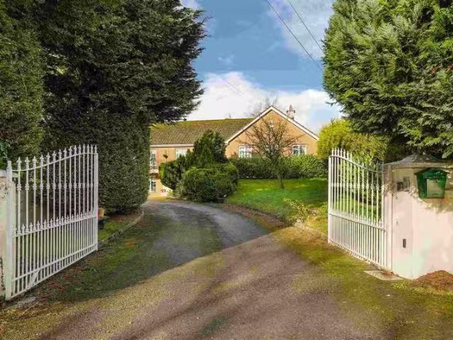 House to rent