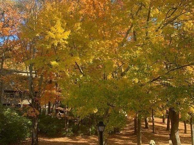 Apartment for rent in Tennessee