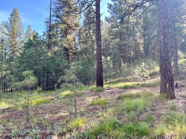 Land for sale in New Meadows, Idaho
