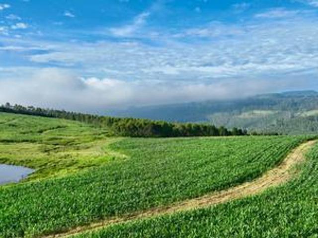 Land for sale in Umgungundlovu, Kwazulu-natal