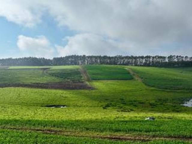 Land for sale in Umgungundlovu, Kwazulu-natal