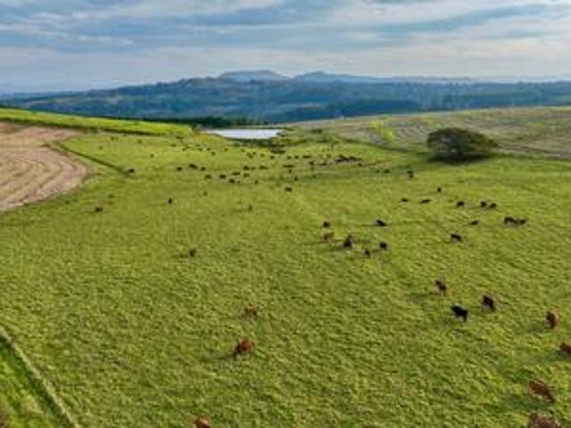 Land for sale in Umgungundlovu, Kwazulu-natal