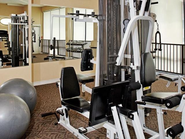 Apartment for rent in Mississauga, Ontario