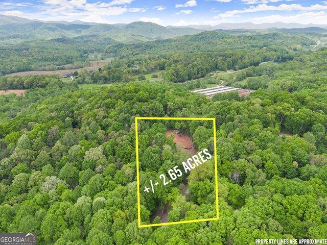 Land for sale in Clarkesville, Georgia