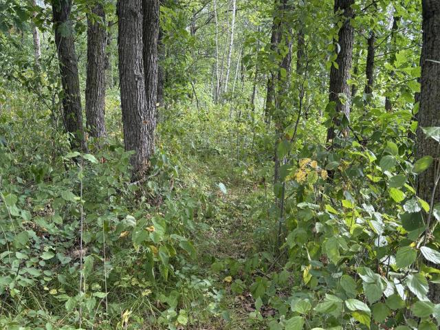 Land for sale in Minnesota