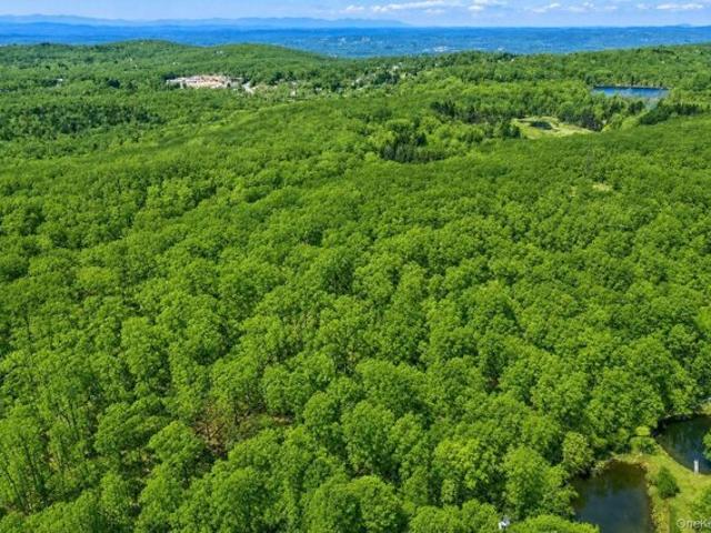 Land for sale in Holmes, New York