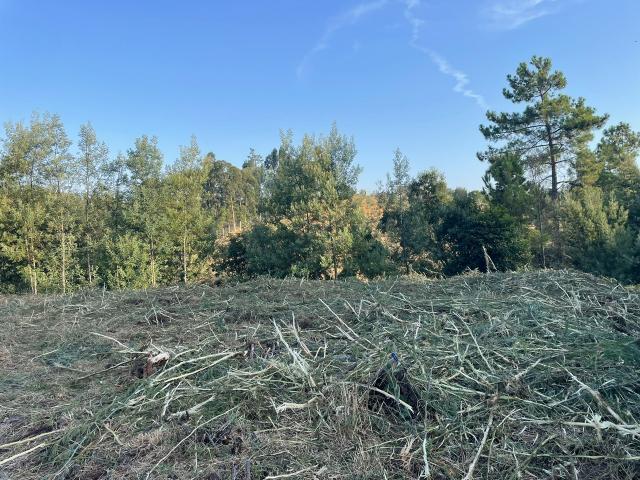 Terreno venda em Mealhada, Aveiro
