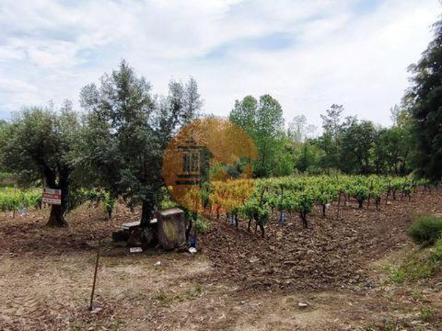 Terreno venda em Mealhada, Aveiro