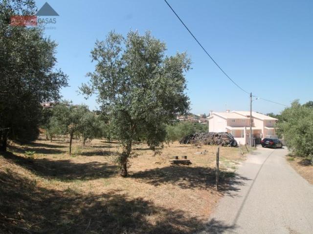Terreno venda em Lameira de São Pedro, Mealhada