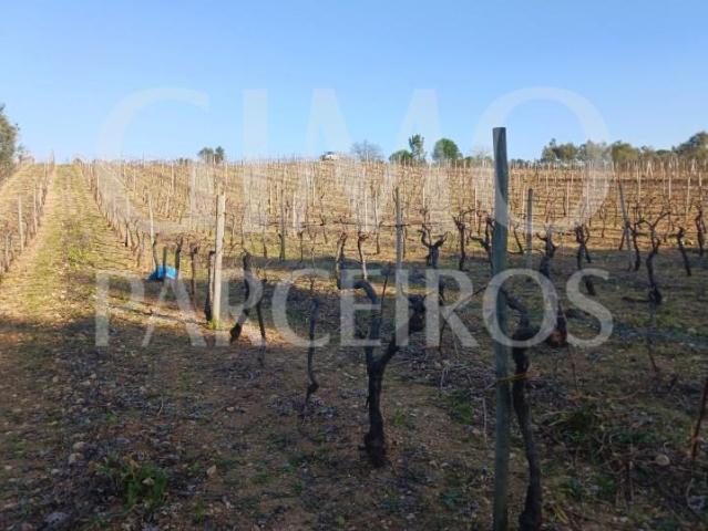 Terreno venda em Mealhada, Aveiro